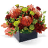 Autumn floral arrangement in a black square container with red and green blooms