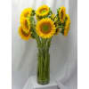 Sunflowers arranged in a clear glass vase