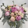 12 elegant peonies or garden roses, mix of pink and peach in