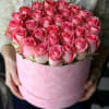 Pink roses arranged in a round pink box