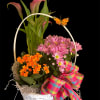 Basket arrangement with pink daisies, orange flowers, and calla lilies