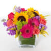Bright mixed bouquet with sunflowers, gerbera daisies, and roses in a square vase