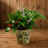 Mixed floral arrangement in a decorative berry-patterned pot