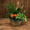 Potted arrangement with orange flowers and white peace lilies