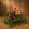 Pink gerbera daisies in a low arrangement with trailing ivy and a burgundy bow