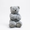 Gray teddy bear plush toy sitting on a white background