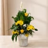 Yellow and white floral arrangement in a white pot with a ribbon