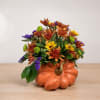 Autumn flower arrangement in a pumpkin-shaped container