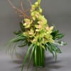 Green orchid arrangement in a tall glass vase with curly branches
