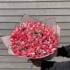 Beautiful 60 tulips wrapped.