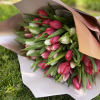 Beautiful bunch of 30  mixed tulips