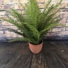 So very lifelike you will have to touch this fern to see