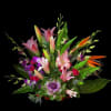 Beautiful tropicals for sympathy. Some flowers may vary due to availability.