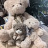 Three plush teddy bears with plaid bows sit together indoors.