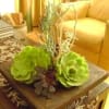 Succulent arrangement in a square planter on a table