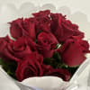 12 Red Roses Bouquet 
