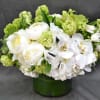 Mix of beautiful and delicate white flowers such as tulips, peonies, hydrangeas