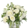 An elegant arrangement with snow white roses, tulips, stock, and green hypericum.