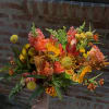 Colorful pincushion protea and free spirit roses make this arrangement pop! It