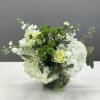 Fresh green and white flowers emerge from a leaf-lined fish bowl celebrating