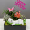 Succulent planter with a sleeping baby figurine and a pink "baby boy" topper