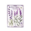 Sheet Mask 