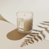 Fragrance #3 | CHRISTMAS TREE:
Festive Best Seller! A Christmas tree farm in