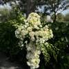 White floral cross-shaped arrangement with roses and orchids