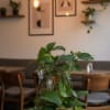 Pothos rooted in a glass vase