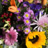 Colorful mixed bouquet with lilies, daisies, sunflowers, and hydrangeas