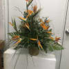 Tropical arrangement with orange bird-of-paradise flowers in a vase