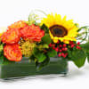 Sunflower and orange rose arrangement in a rectangular glass vase