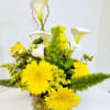 Compact arrangement of yellow gerbera daisies and white calla lilies in a clear round vase