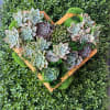 Succulents embraced in a wood heart base with a touch of Love.