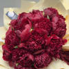 Bouquet made out of solely burgundy peonies (also available in pink), breathtaking!