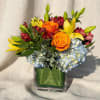 Orange roses and yellow lilies in a square glass vase with blue hydrangeas