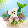 Basket arrangement with a white flower dog and colorful blooms