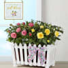 Pink and yellow roses in a white picket planter with a floral bow