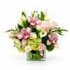 Pink orchids and roses arranged in a square glass vase