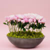 A luxurious garden-style arrangement showcasing delicate blush pink peonies elegantly displayed in