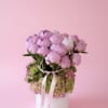 Pink peonies arranged in a white round box with a ribbon
