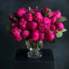 Bright pink peony bouquet in a clear glass vase