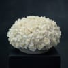 Round arrangement of white roses in a low gray container