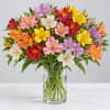 Colorful alstroemeria bouquet in a clear glass vase