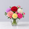 Colorful carnations in a clear glass vase