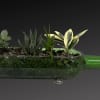 Succulent plants arranged in a green glass bottle planter