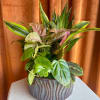 Potted tropical foliage arrangement in a striped ceramic planter