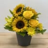 Yellow sunflowers and roses arranged in a black pot