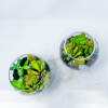 Two small glass terrariums with green succulents and moss