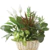 Basket planter with assorted green houseplants and white peace lilies